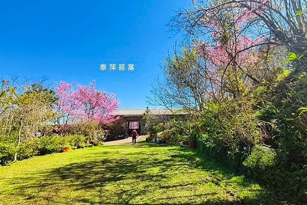 巴棍民宿露營區61.jpg