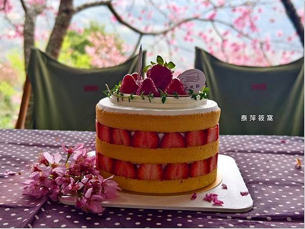 巴棍民宿露營區89.jpg