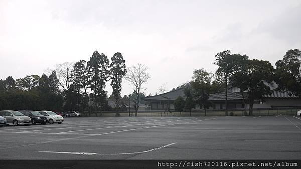 P1120668.JPG