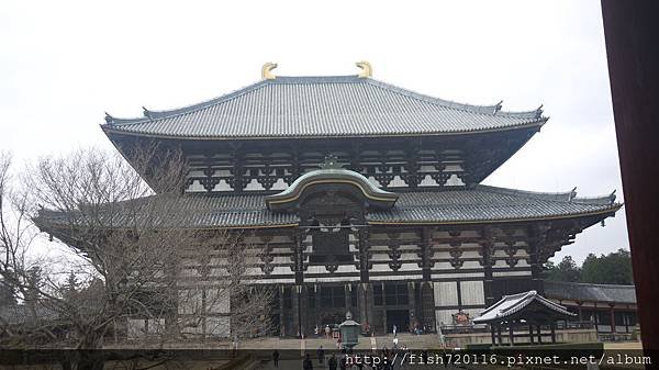 P1120707.JPG