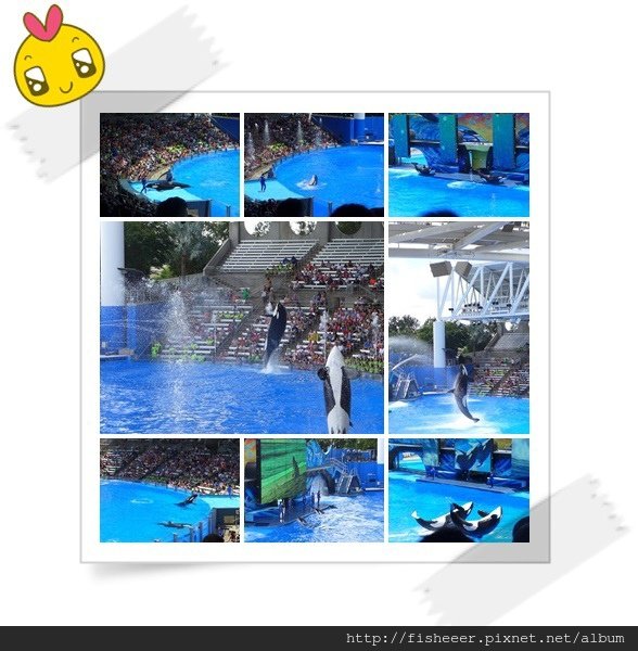 testshamu1