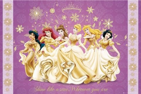 Disney_Princess-shine-l.jpg