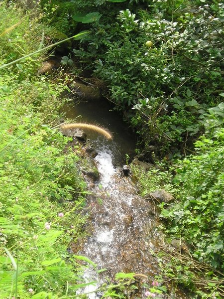 PB070002.JPG