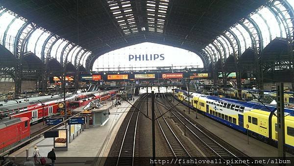IMAG0669.jpg