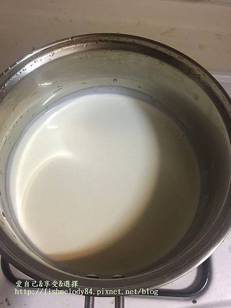 木瓜奶酪_1433.jpg