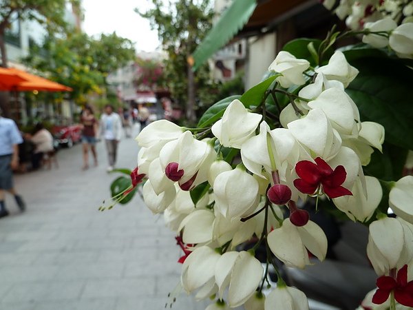 L1000040.JPG