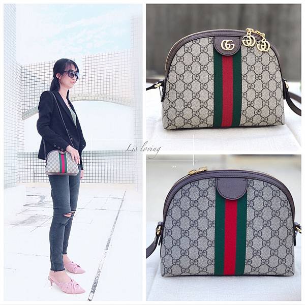 gucci ophidia bag1.JPG