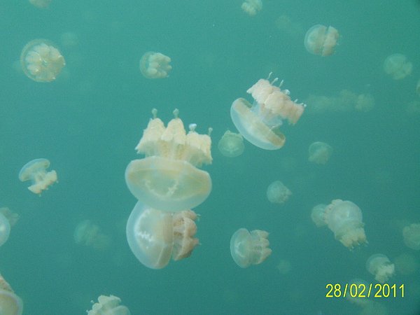 PIC_0415.JPG