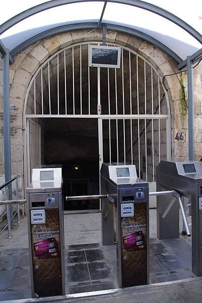 IMGP2719