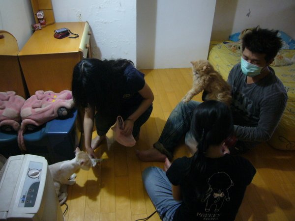 P1130336.JPG