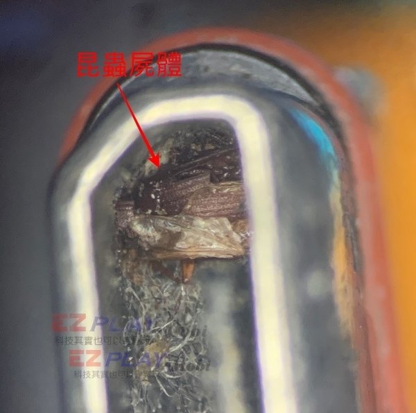 USB有小昆蟲.jpg