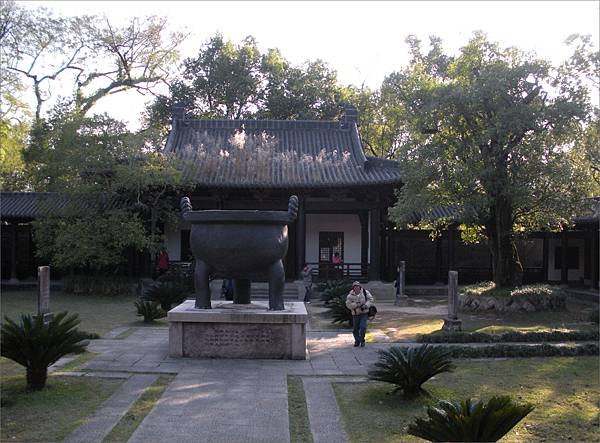 老樹2008.12.5.jpg