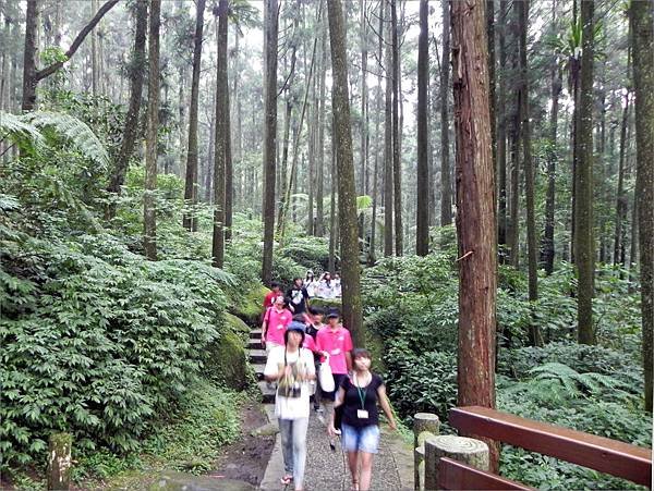 森林浴2010.8.3.jpg