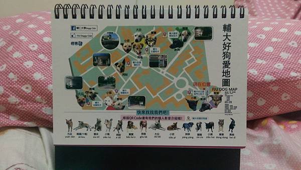 IMAG3319.jpg