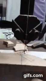 car1.gif