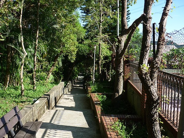 P1000525.JPG