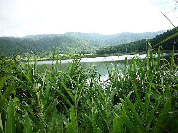 P1240036.JPG