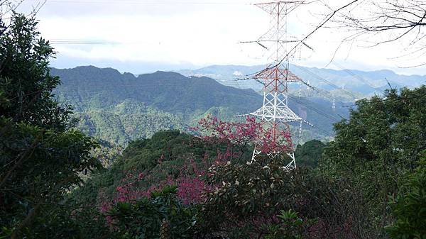 P1000685.JPG