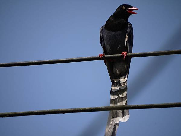P1050207
