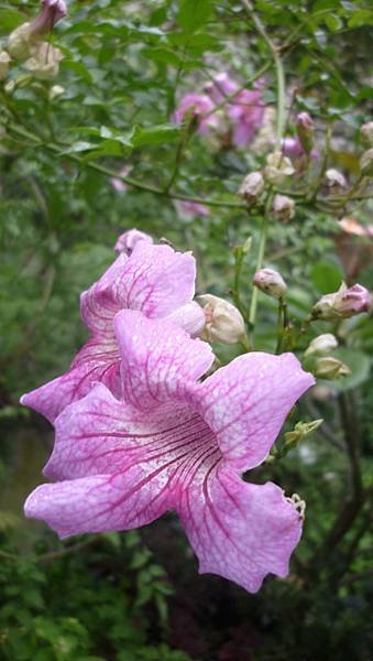 P1270133