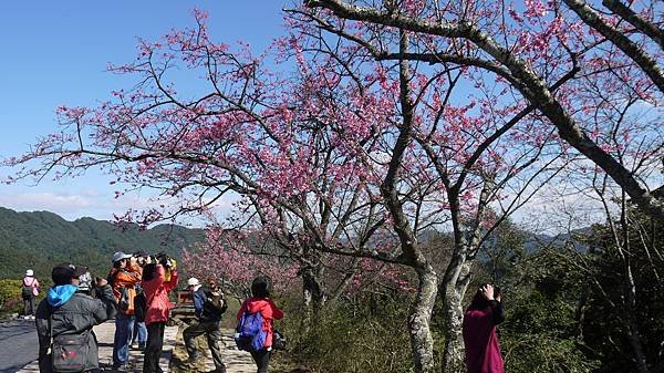 P1400791.JPG