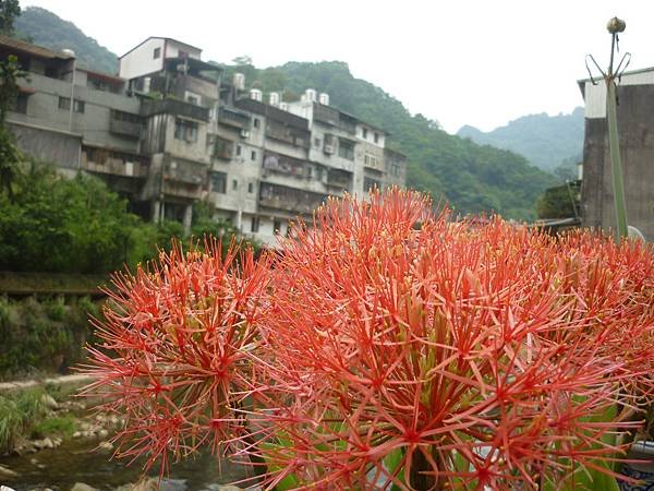 P1220441.JPG