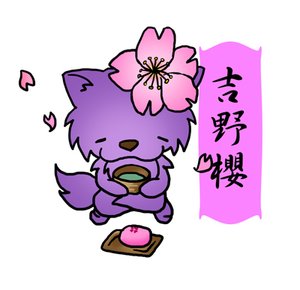 櫻花-2.jpg