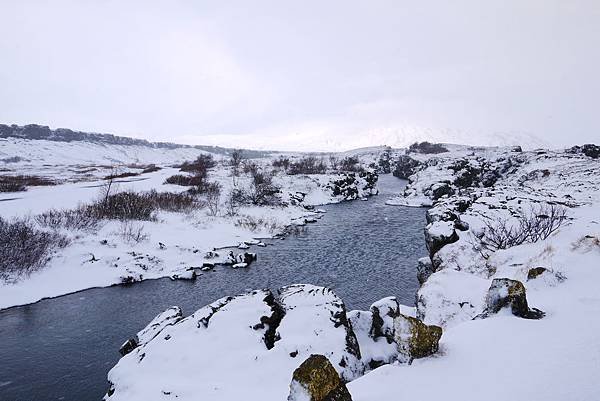 Flat 135/愛旅遊 冰島 Iceland 極光之旅 day 2  The Golden Circle 金圈之旅