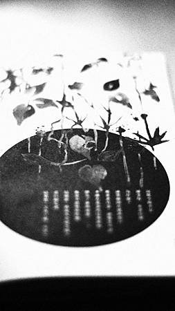 03花語是「純潔的愛」的這些茜草其實存在，她們比你還要羞怯，她們和你一樣認真。——〈茜草滿盈館〉.JPG