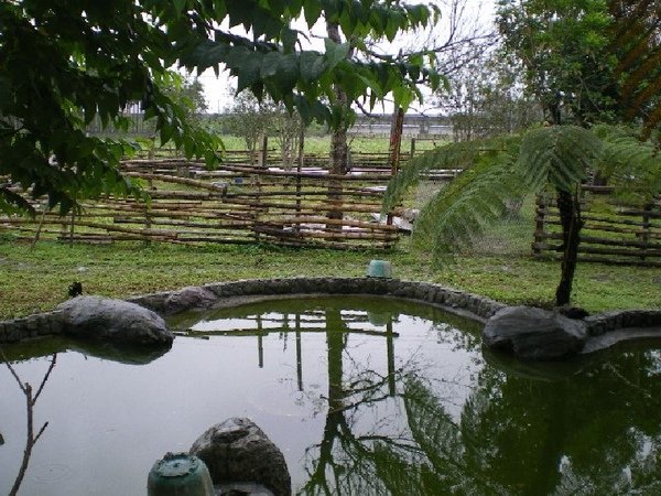 IMGP1811.JPG
