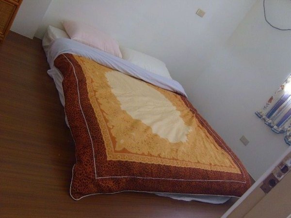 S1030841.JPG