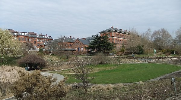 美麗的植物園公園