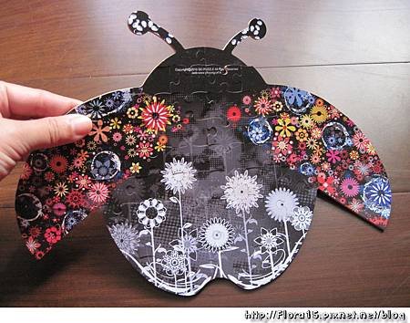花花瓢蟲 (11).jpg