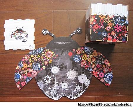 花花瓢蟲 (12).jpg