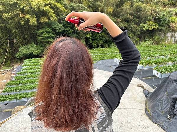 S__28762196.jpg