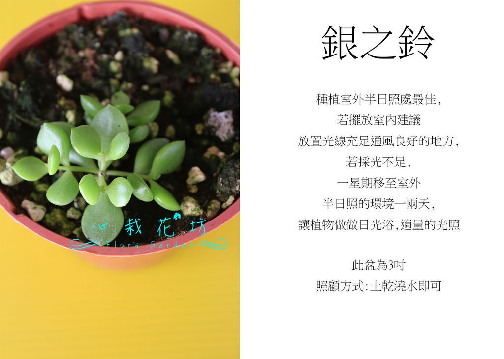 銀之鈴.jpg