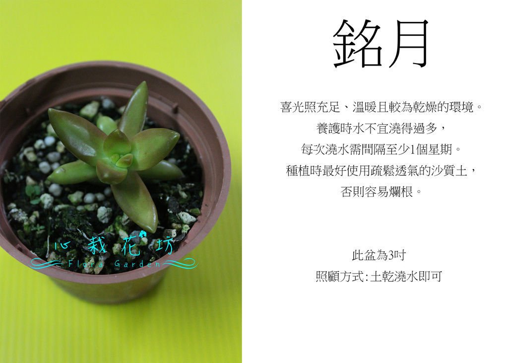 銘月.jpg