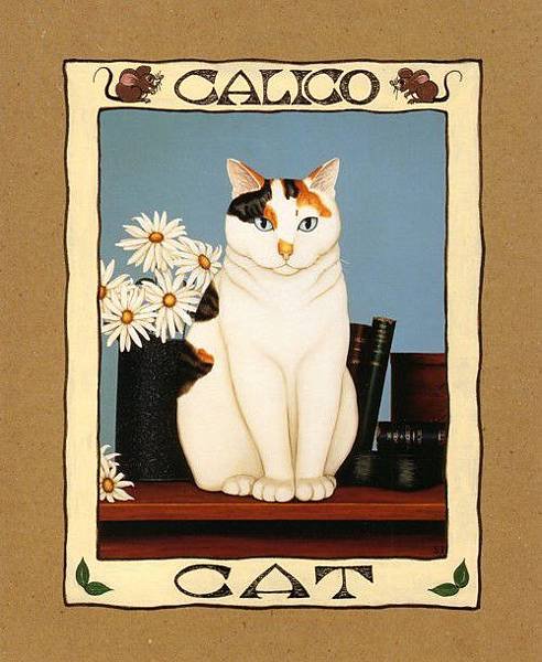 calico_cat.jpg