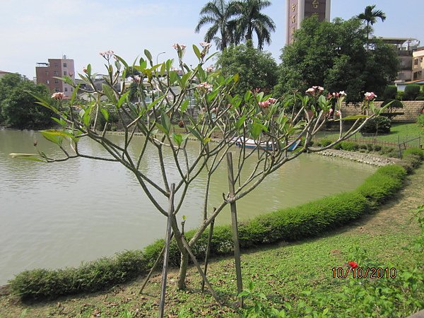 霧峰林家花園~萊園