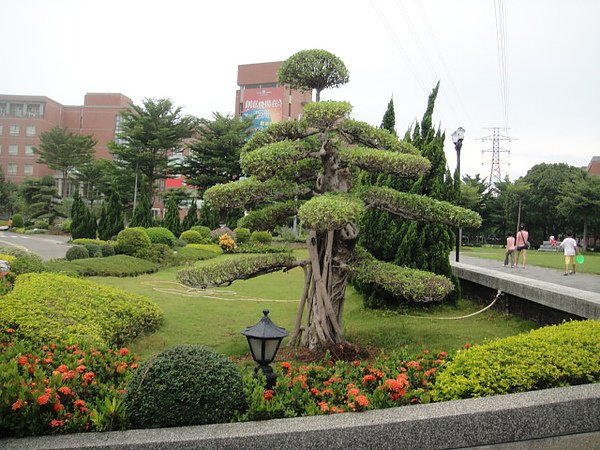 霧峰亞洲大學