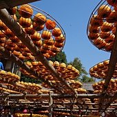 DSC00050
