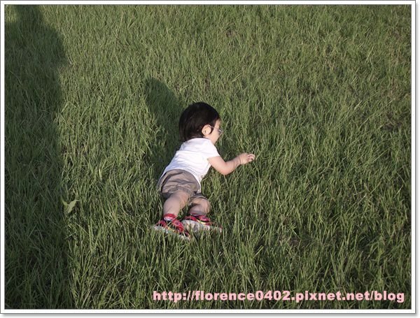 DSCF6746.jpg