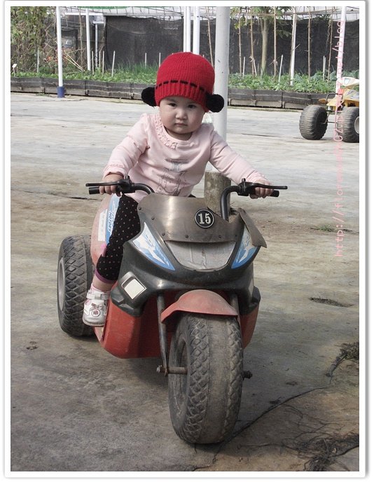 DSCF5096.jpg