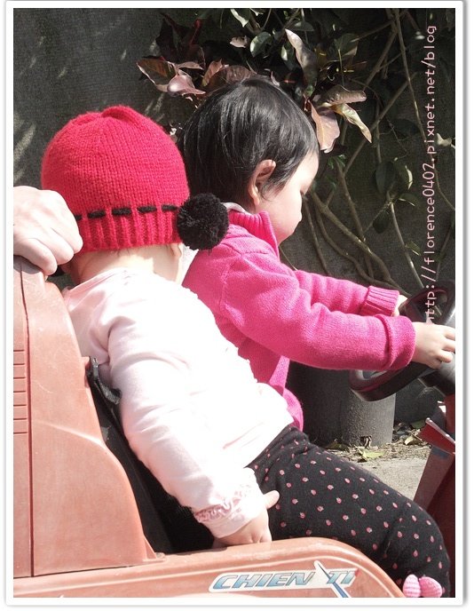 DSCF5071.jpg