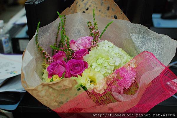 DSC_0455.JPG