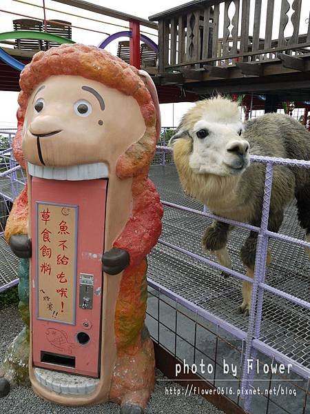 【南投│猴探井】約會聖地。星月天空景觀餐廳