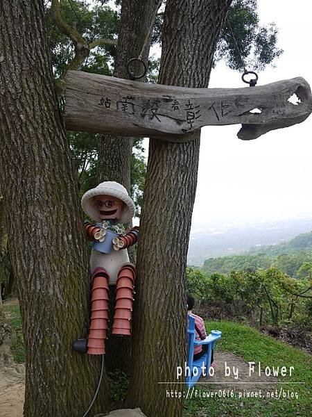 【南投│猴探井】約會聖地。星月天空景觀餐廳