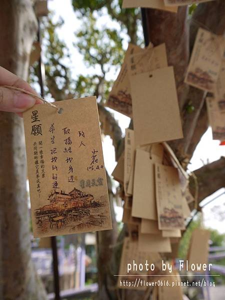 【南投│猴探井】約會聖地。星月天空景觀餐廳