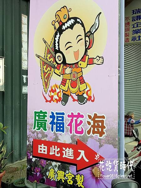 【台中│西屯】市區也能賞花海、落羽松林? 2018廣福路花海