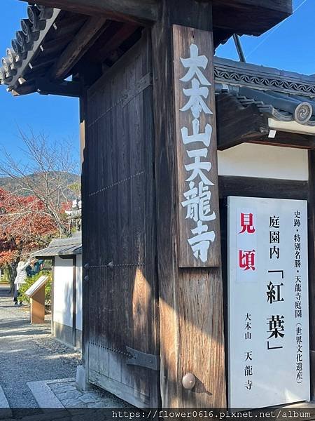 LINE_ALBUM_日本賞楓_231126_189.jpg